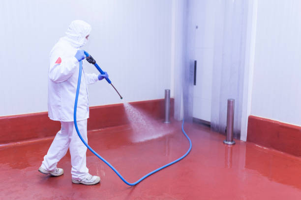 Best Sidewalk and Walkway Pressure Cleaning in Timnath, CO